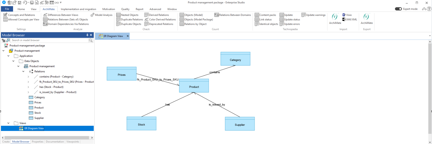 Bizzdesign ER Diagram view