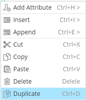 Contextual menu - Duplicate selected