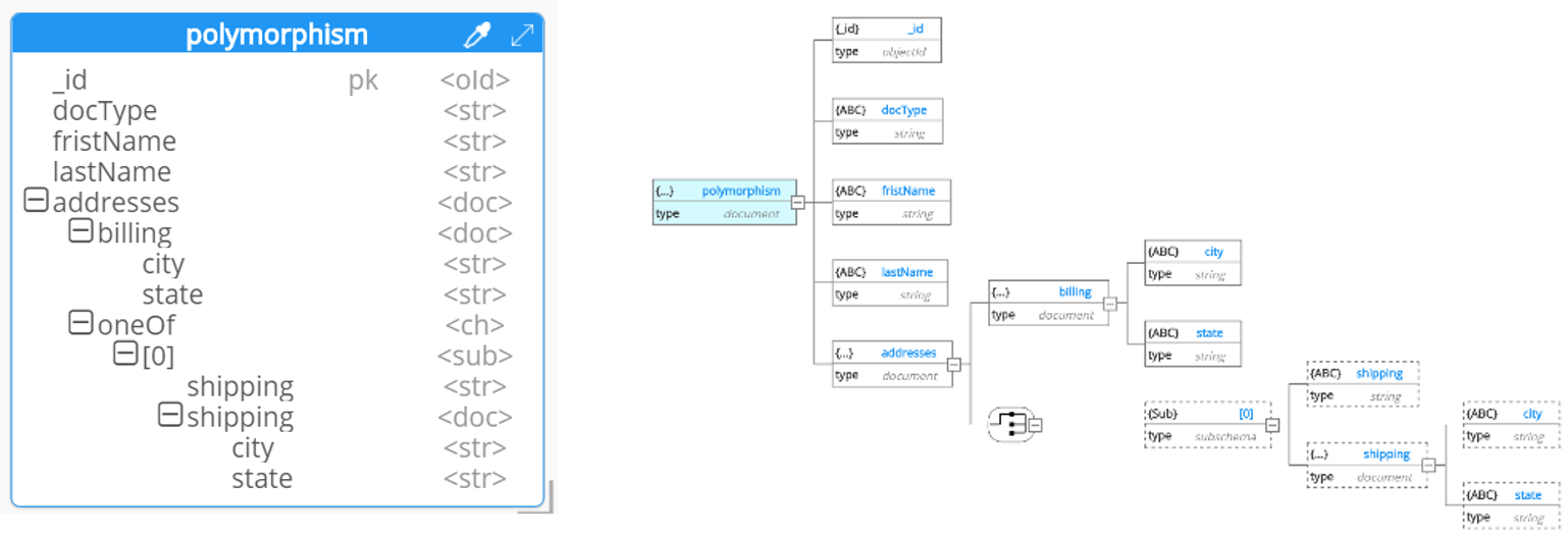 Polymorphism in 2 Hackolade views